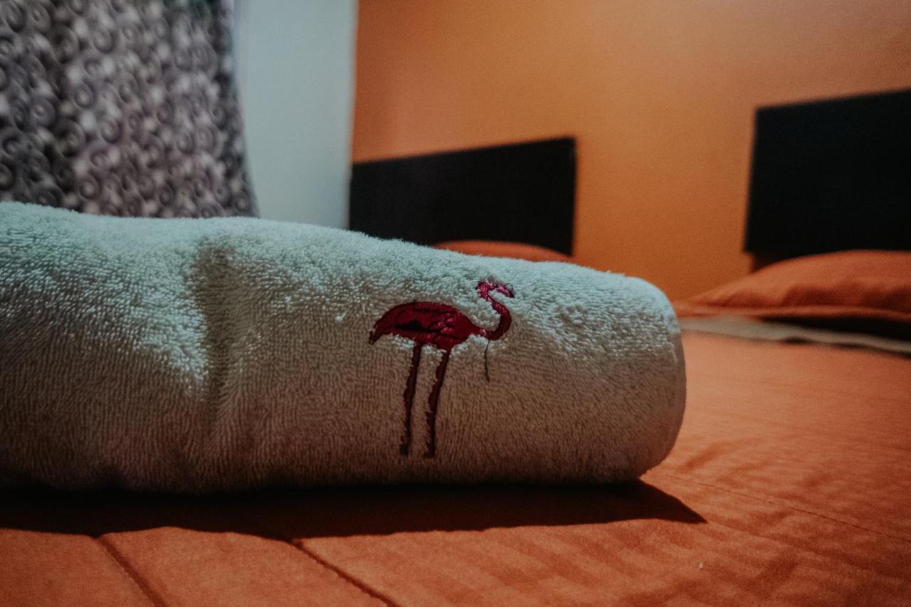 רינקון דה גוויאביטוס Bungalows Flamingos מראה חיצוני תמונה